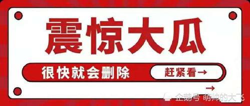 吃瓜八卦娱乐圈公众号,揭秘明星背后的秘密与真相！